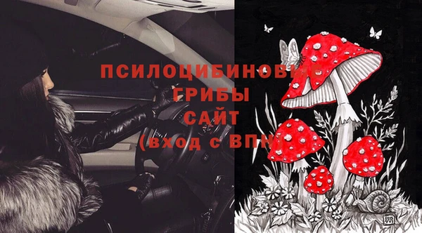 дживик Лабытнанги