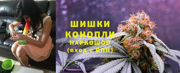 дживик Лабытнанги