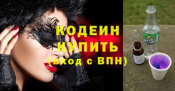 индика Майский
