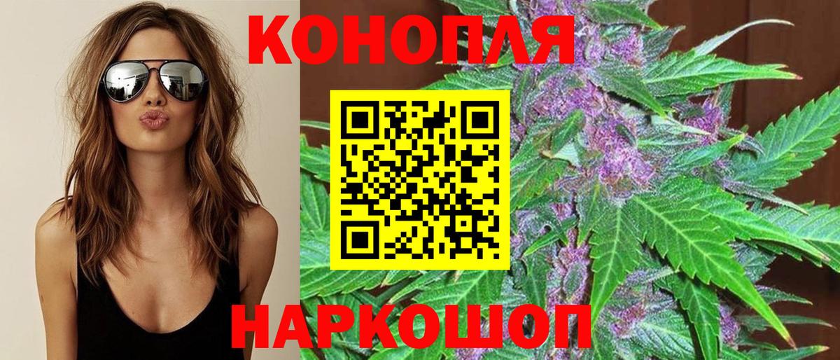 Шишки марихуана планчик  Шишки марихуана Bruce Banner  Вход с VPN  Бошки Шишки тримм  Лобня 